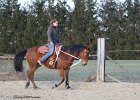 IMG 6132