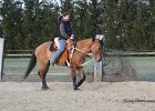 IMG 6134
