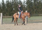 IMG 6141