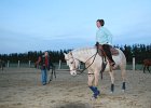 IMG 6284