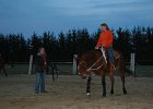 IMG 6292