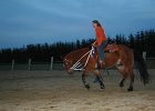 IMG 6295
