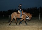 IMG 6307