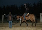 IMG 6312