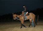 IMG 6317