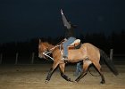 IMG 6323