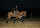 IMG 6329